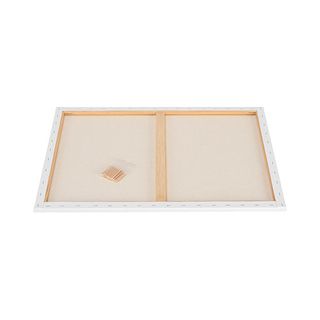 Talentus Pânză picură 50x70 cm 1 buc