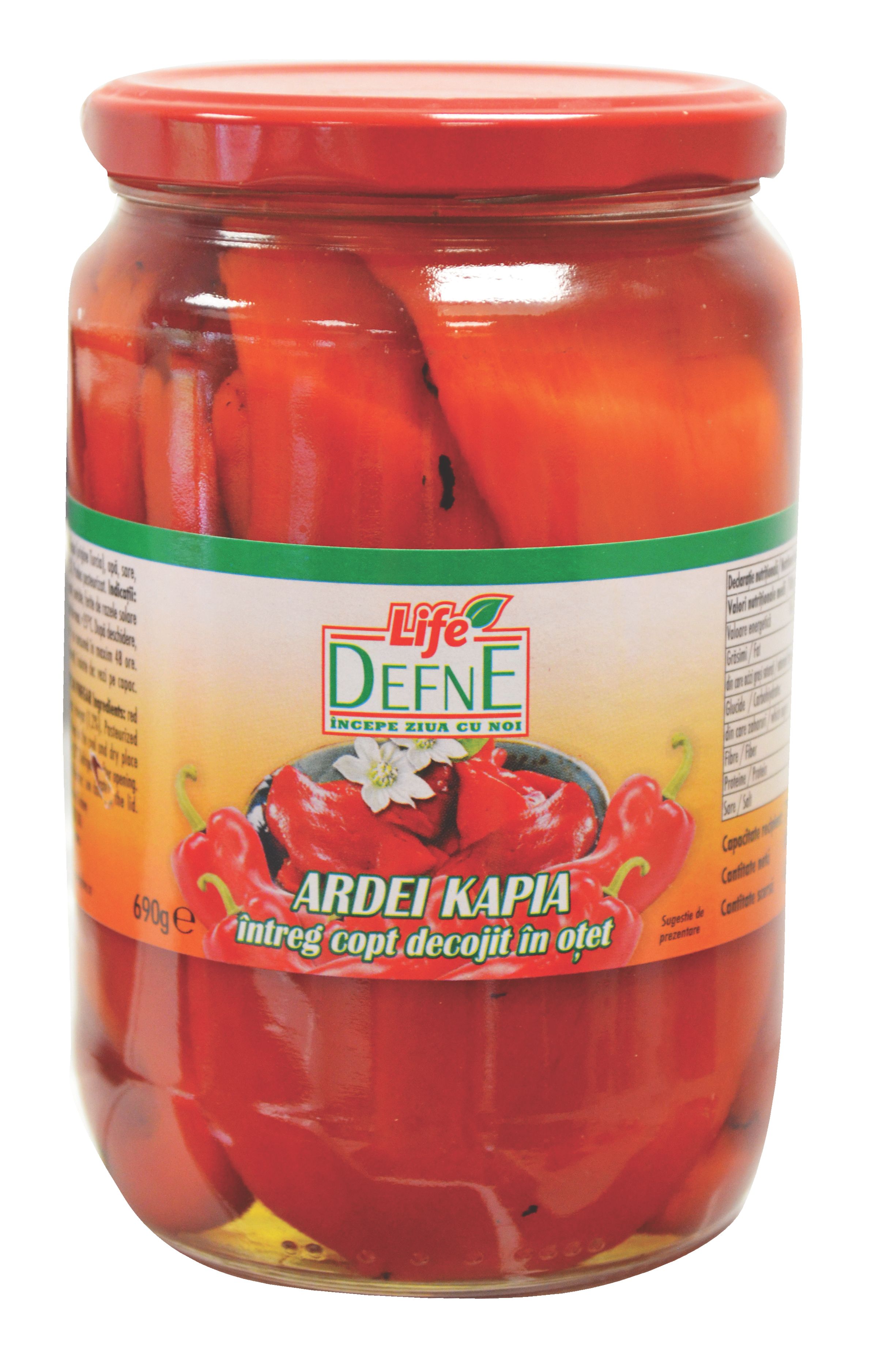 Conserve si borcane!