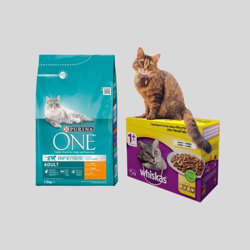 ХРАНА ЗА КОТКИ