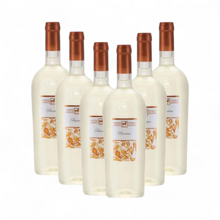 Vin Alb Sec Tenuta Ulisse Pecorino Premium 13%, 6 x 0.75L