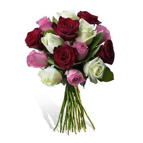 Plante și Flori❣️