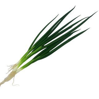 Ceapa verde ECO, legatura