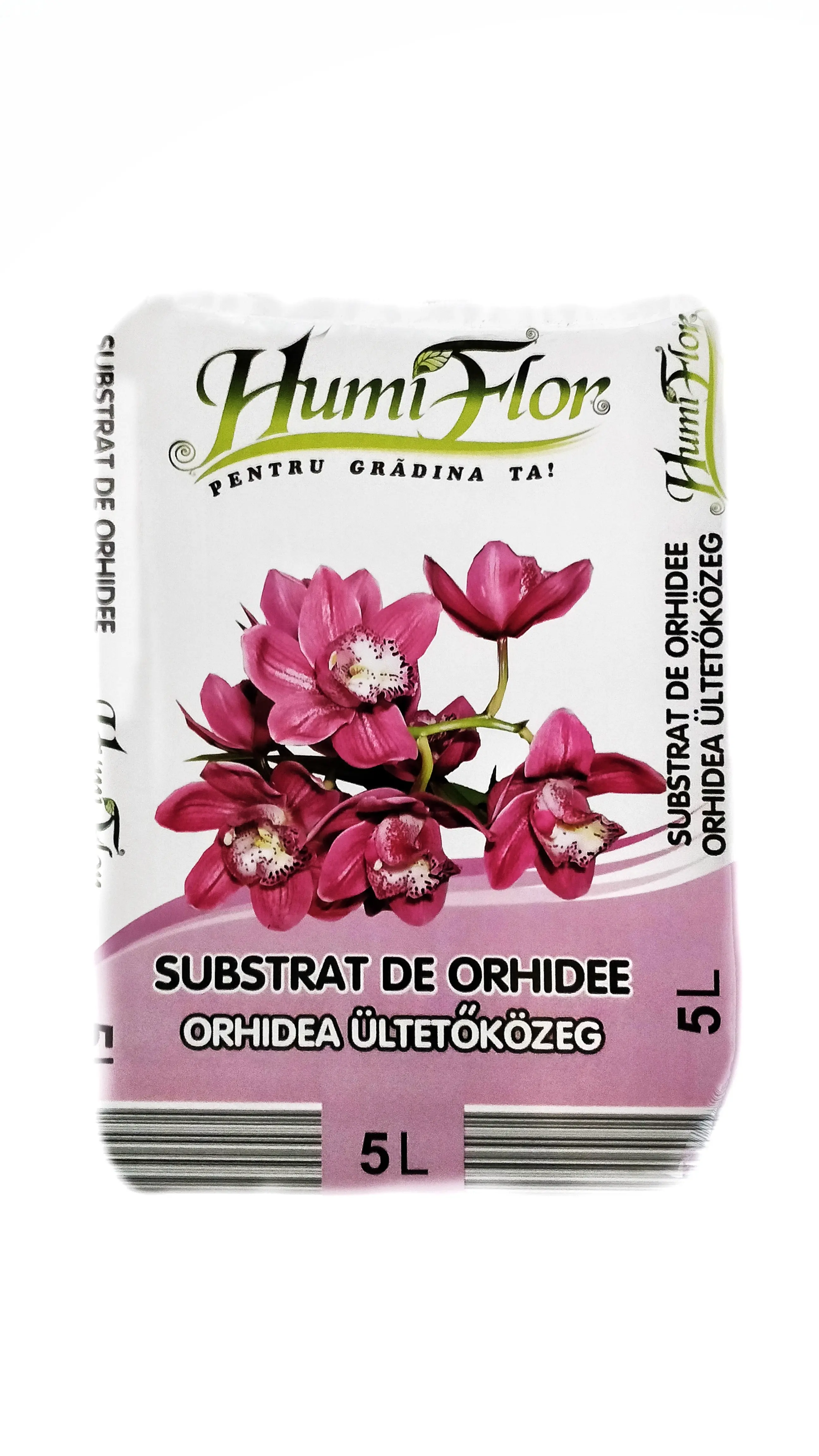 Grădina