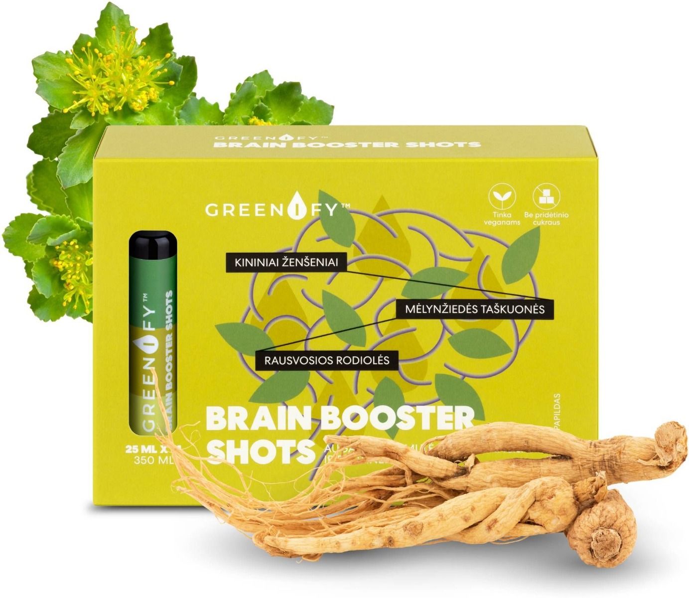 Памет и концентрация