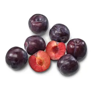Prune Rotunde