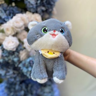 Мягкая игрушка кот