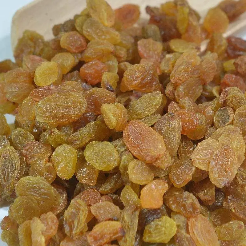 Suvo Voće