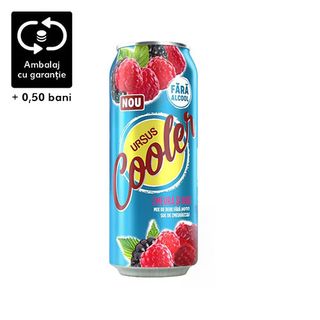 Ursus Cooler Zmeura&Mure Na 0,5 L Dz Sgr