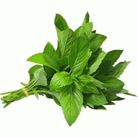 Пресни Подправки