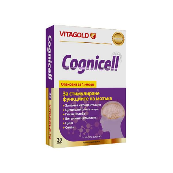 Памет и концентрация