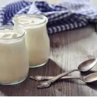 Iaurt de Oaie 500g