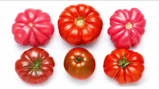 Jazz mix 1kg