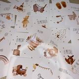 Карточки с месяцами для новорождённых (12шт)