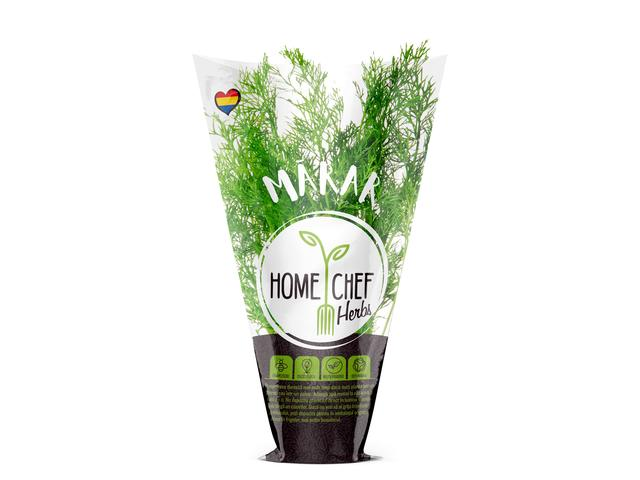 Fructe si legume Romanesti