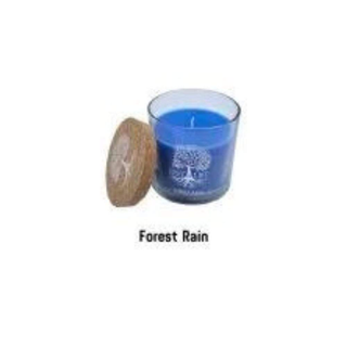 Tree of Life Lumanare Parfumata - Forest Rain