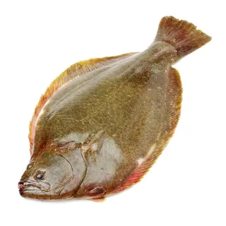 Calcan