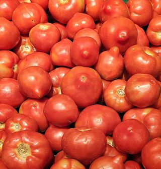 Rosii de gradina cu mot romanesti per kg