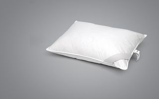 Jastuk perjani Srebrni san Classic 50x70cm OK 5310392001222