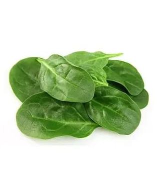Špinat Svježi