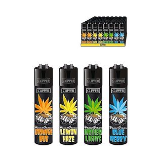 Bricheta Clipper – HOMEGROWN #1