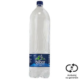 Bilbor Apa Minerala Plata 2L