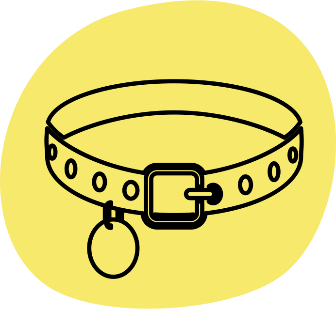 Аксесоари за кучета