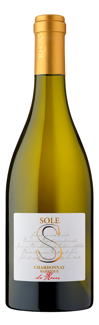 Sole Chardonnay Barrique 75 Cl 13%