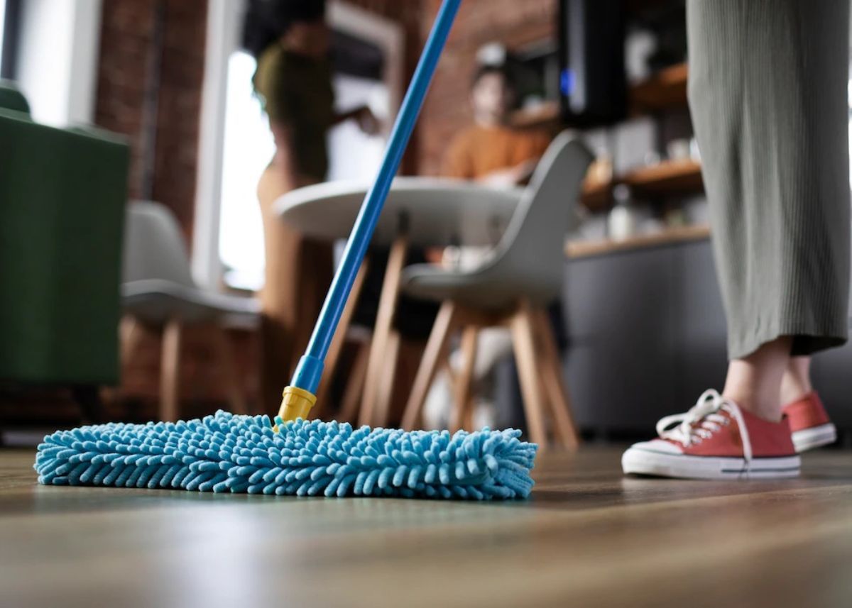 Program za čišćenje