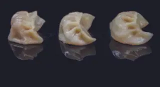 008 Gyoza al vapore