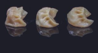 008 Gyoza al vapore