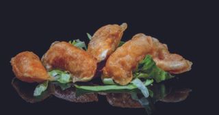 010 Gyoza fritto