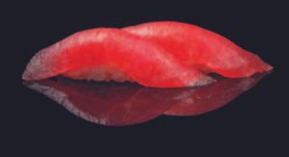 019 Tuna
