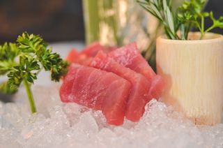 Sashimi maguro
