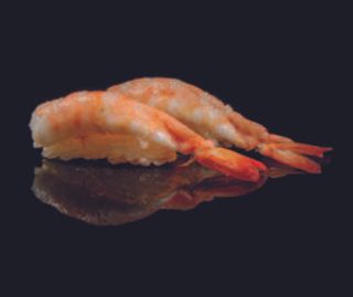 023 Ebi