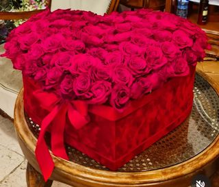 101 ruža u plišanom srcu