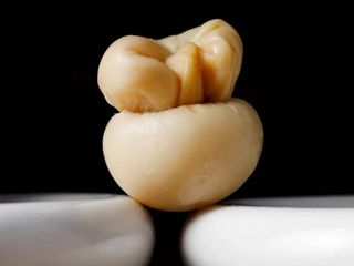 Скаморца (100г)