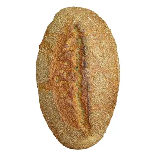 Whole Wheat Loaf