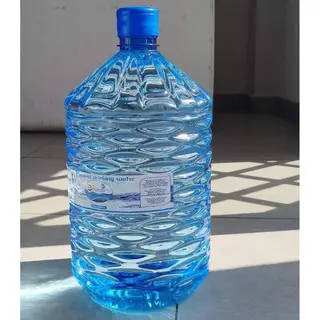 10L Disposable