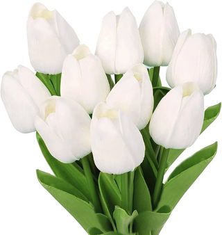 Tulipani bianchi 10 pezzi
