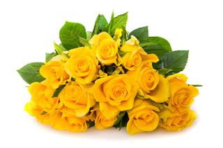 10 Rose gialle grande 70-80cm
