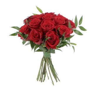 10 Rose rosse