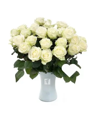 10 Rose bianche 70/80 cm