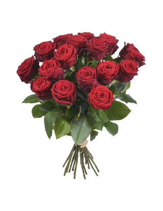10 Rose rosse