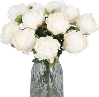 10 Peonie bianche