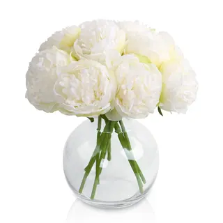10 peonie bianche