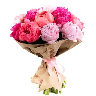 10 peonie fucsia