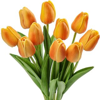 Tulipani arancioni 10 pezzi