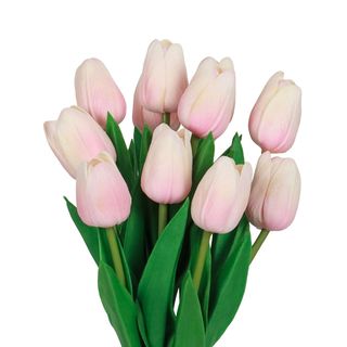 Tulipani rosa 10 pezzi