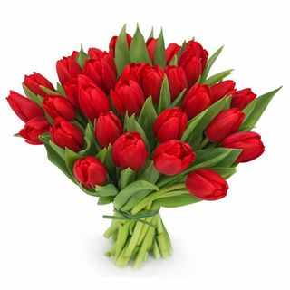 Tulipani rossi 10 pezzi