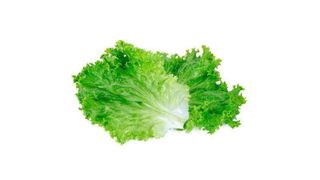 Листья салата (30г)